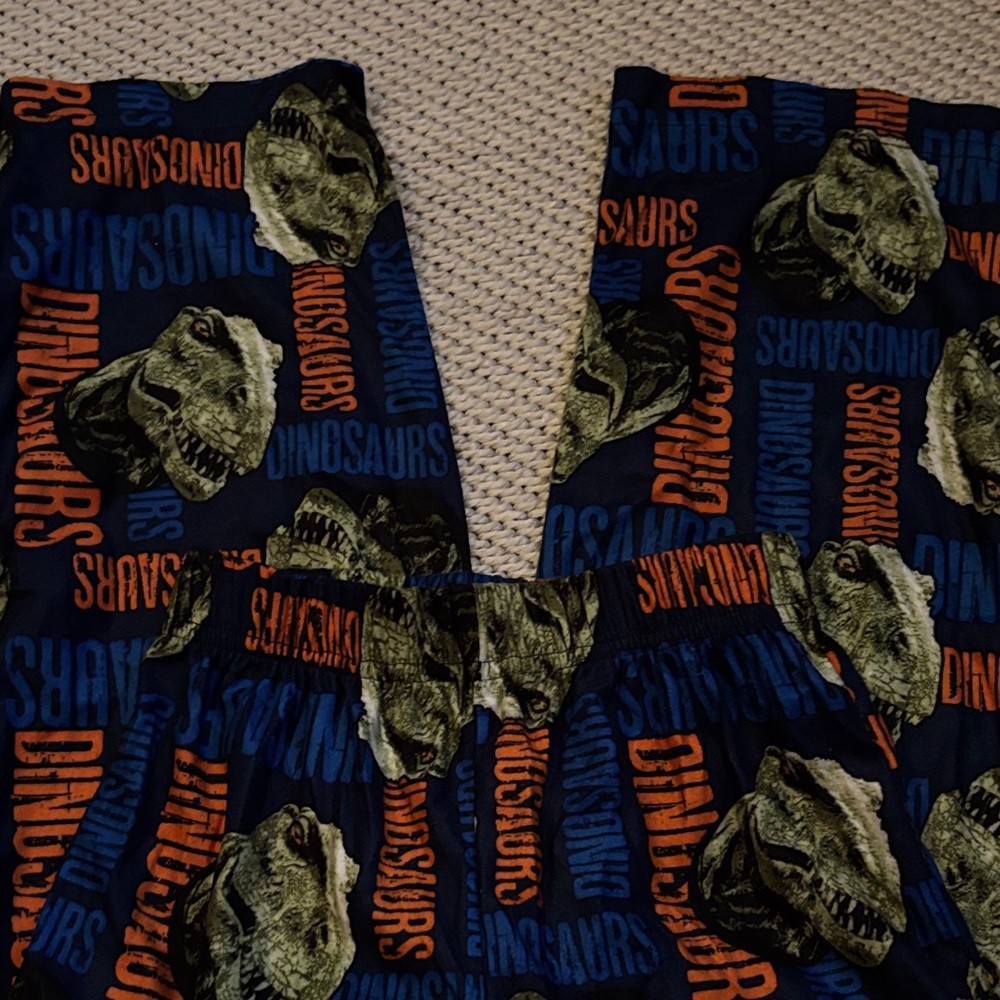 Pajama pants Dinosaurs boys new size XS 4-5 polyester Hanes
